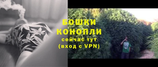 ГАЛЛЮЦИНОГЕННЫЕ ГРИБЫ Медногорск