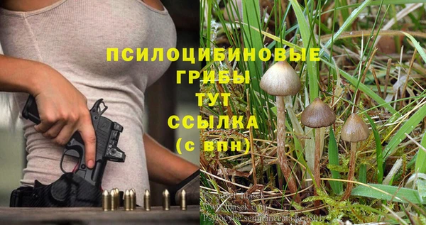 а пвп мука Алапаевск