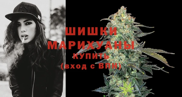 ГАЛЛЮЦИНОГЕННЫЕ ГРИБЫ Медногорск