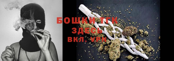 ГАЛЛЮЦИНОГЕННЫЕ ГРИБЫ Медногорск