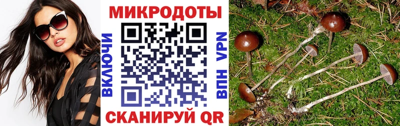 Псилоцибиновые грибы MAGIC MUSHROOMS ОМГ ОМГ ссылка Нарьян-Мар